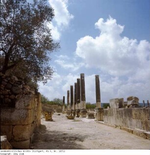 Israel: Samaria