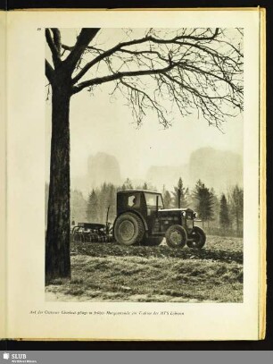 Auf der Ostrauer Ebenheit pflügt in früher Morgenstunde ein Traktor der MTS Lohmen