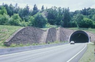 Löwenherz-Tunnel Annweiler