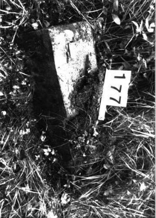 Grabstein 177 (Index: 99897888) Zustand: liegend: Grabstein 177