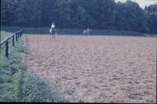 Fotografie: Pferdehaltung, Reitplatz