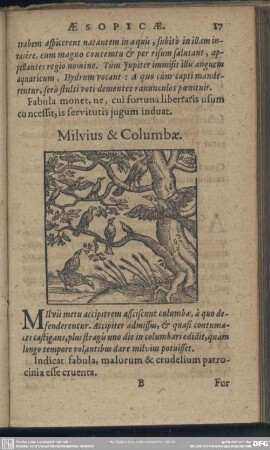 Milvius & Columbae