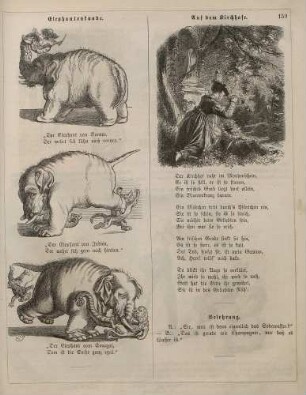 "Elephantenkunde" "Auf dem Kirchhofe"