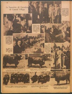 La Exposición de Ganadería de General Villegas [Fotografías]