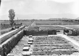 Plovdiv: landwirtschaftliche Versuchsanstalt, Ausblick von der Versuchsanstalt