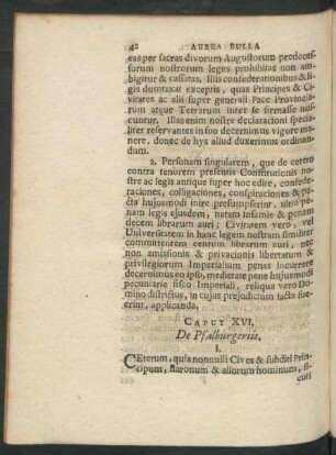Caput XVI. De Pfalburgeriis.