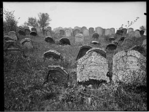 Külsheim Jüdischer Friedhof Eingangstür - Grabsteine