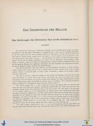 Das Gehörorgan der Belluæ.