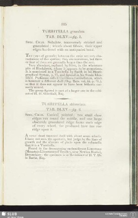 Turritella abbreviata. Tab. DLXV.—fig. 2