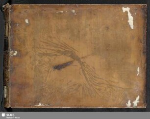 La villanella di Misnia - Mus.3550-F-6 : V (6), Coro, orch