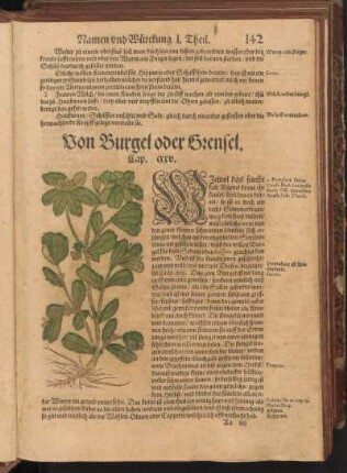 Von Burgel oder Grensel, Cap. CXXV