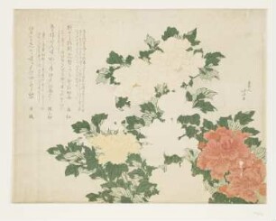 Pfingstrosen. Surimono anläßlich eines Ortswechsels des Schauspielers Ichikawa Danzō IV