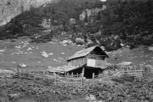 Hütte : Provisorischer Stall auf einer Alm.