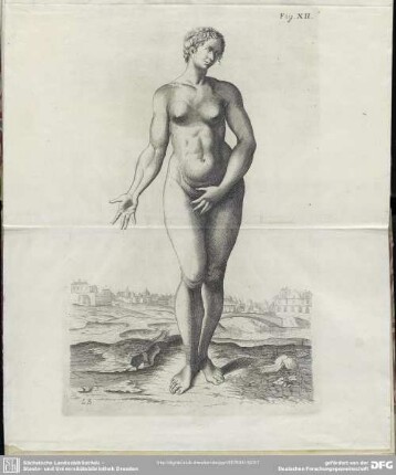 Fig. XII