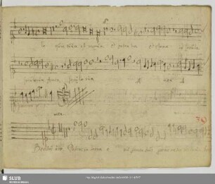 Gallus, Iacobus: Beatus vir