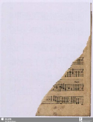 [XXIV. Monteverdi, Claudio: Haec dicit Deus; incpl.]