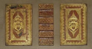 Vorderdeckel Bucheinband mit Goldpressung und Cardinalswappen