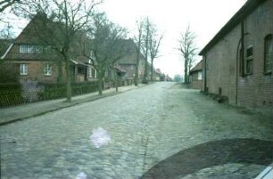 ehemaliges Gut Trenthorst-Wulmenau: Trenthorst: Straße mit Kopfsteinpflaster