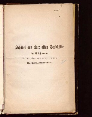 Schädel aus einer alten Grabstätte in Böhmen