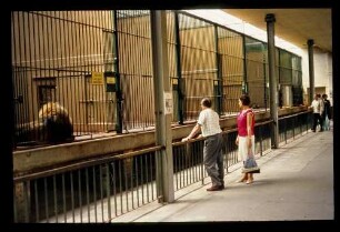 Zoo Raubtierhaus 3.6.67.