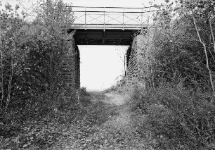 Eisenbahnbrücke (Eisenbahnbrücke); Otzberg, Die Weidenstaude