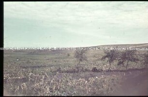 Landschaft in der Ukraine
