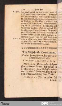 Die dreyzehende Betrachtung [...].