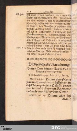 Die dreyzehende Betrachtung [...].