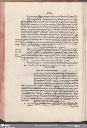 Liber .XXXVI.