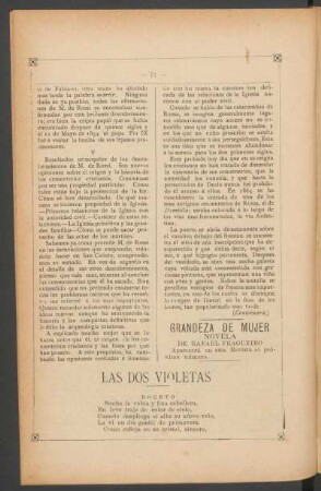 Las dos violetas : Boceto