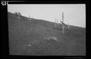Matheias (?) (=Mãțãu: =Dorf und Anhöhe in Rumänien): 10 "Grabkreuze?" aus schlichtem Birkenholz auf einer Anhöhe