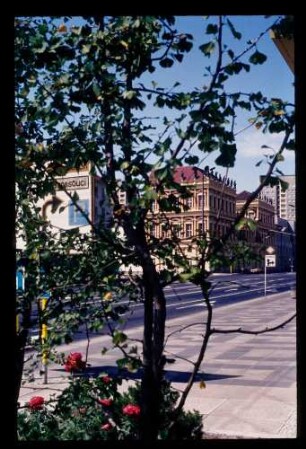 Potsdam 25.7.83.