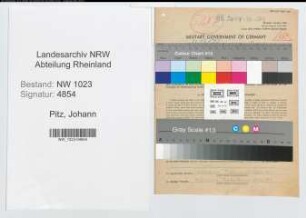 Entnazifizierung Johann Pitz , geb. 01.11.1903 (Angest.)
