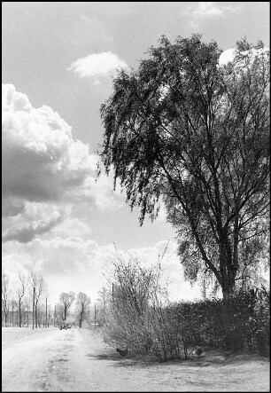Auf der Horst/Havelse, Bassriedeweg