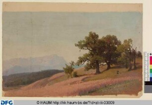Wiesenlandschaft vor Gebirge
