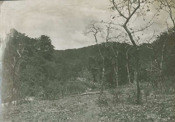 Vue sur la vallée de Msomwesi