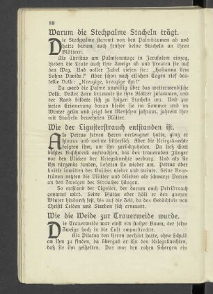 Wie der Ligusterstrauch entstanden ist.