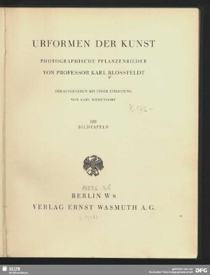 Urformen der Kunst : photographische Pflanzenbilder