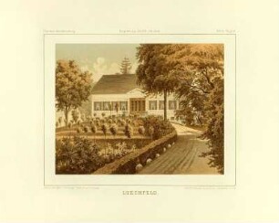 Lüchfeld