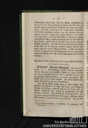 Erdmandel. Eßbares Cypergras.