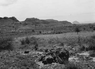Termitenhügel : Termitenhügel im Hochland Eritreas