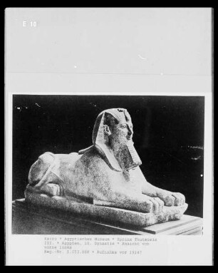 Sphinx Thutmosis III.