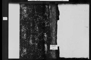 Daudenzell, katholische Gemeinde: Heirats- und Sterbebuch 1810-1867