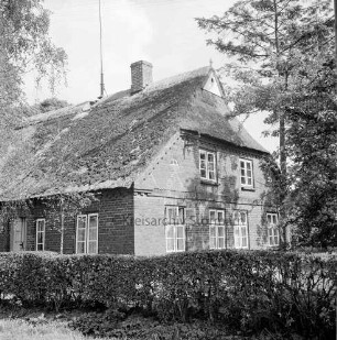 Reetdachhaus "Schäferkate" von Familie Steffen: davor Hecke: rechts und links Bäume