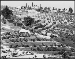Landschaft bei San Gimignano