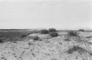 Dünenlandschaft : Blick über eine Dünenlandschaft