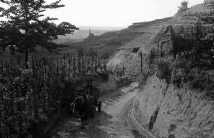 Ihringen: Hohlweg, mit Wagen und Landschaft