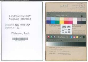 Entnazifizierung Paul Wellmann , geb. 03.10.1919 (Angestellter)