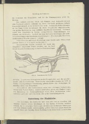 Entstehung der Flußdeiche