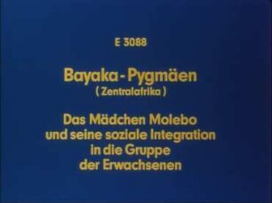 Bayaka-Pygmäen (Zentralafrika) - Das Mädchen Molebo und seine soziale Integration in die Gruppe der Erwachsenen
